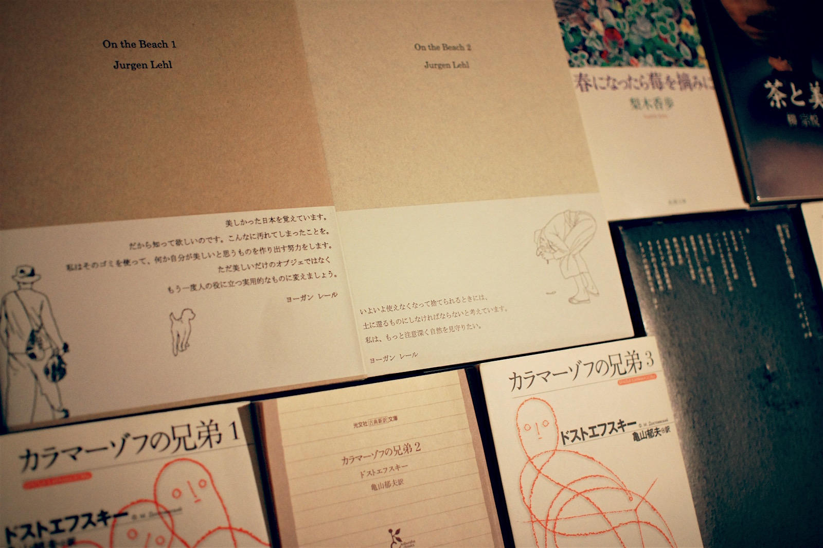 Recommended books especially good from the 91 books read in 2016 5 books