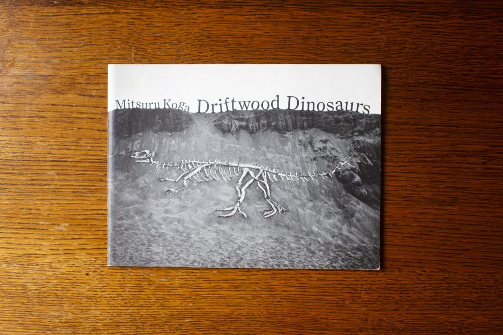 Driftwood Dinosaurs / Koga Miura