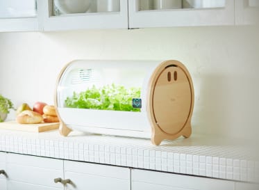 Development of co-creative type new product