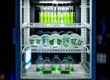 BioClub – A cutting edge space and home for DIY bio community in Tokyo