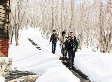 Branding Hokkaido: revitalizing regional tourism through design